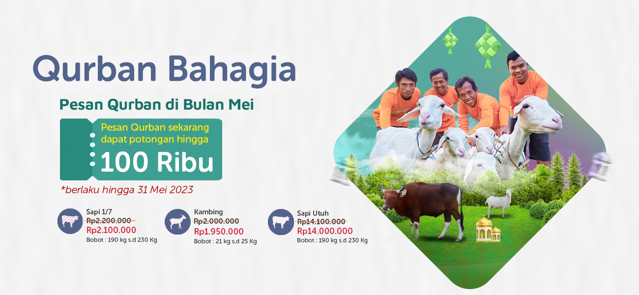 banner dq